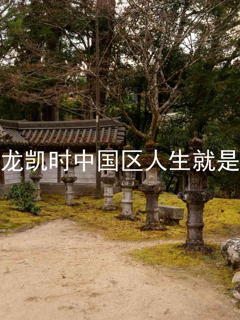 尊龙凯时中国区人生就是博