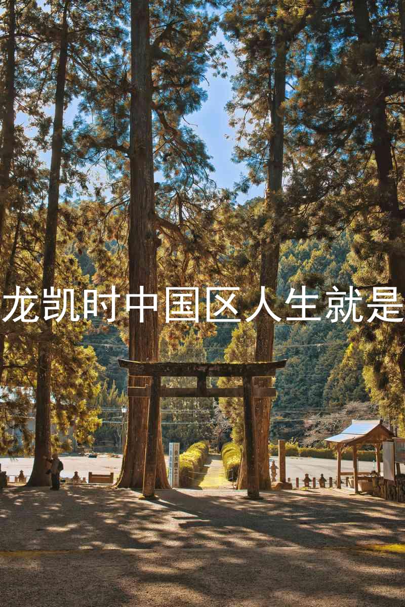 尊龙凯时中国区人生就是博